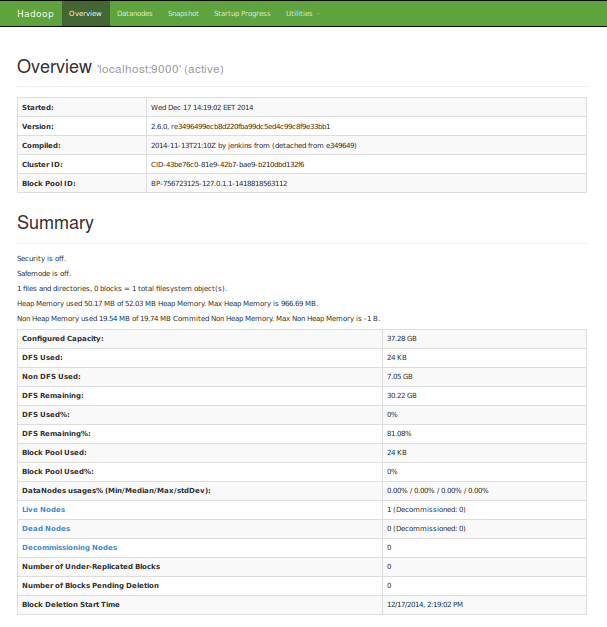 utile:hadoop_namenode.png